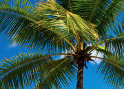 在线教育平台的短信测试app